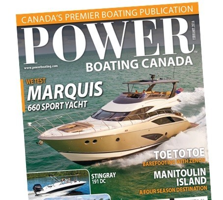 Cover31 1