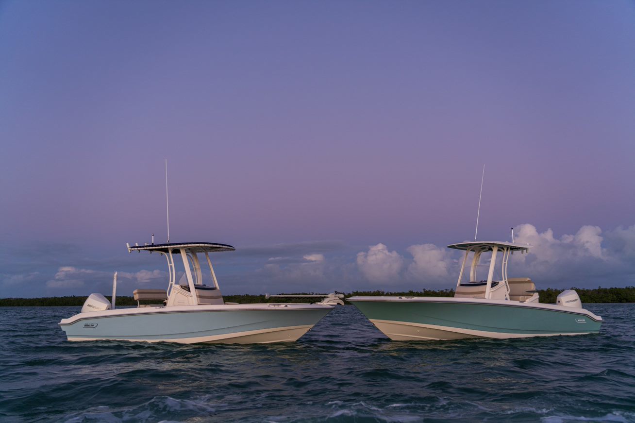 Boston Whaler Dauntless