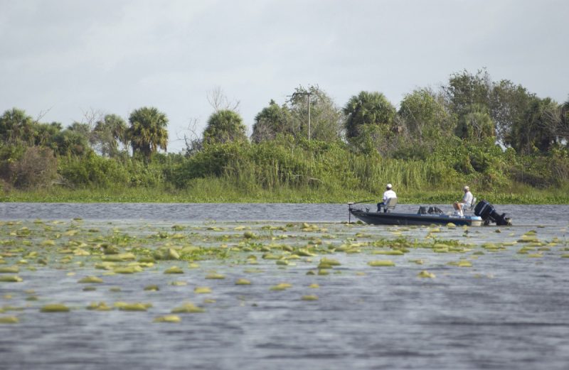 Lake Okeechobee Fishing Public Use Boats Power Boating Magazine