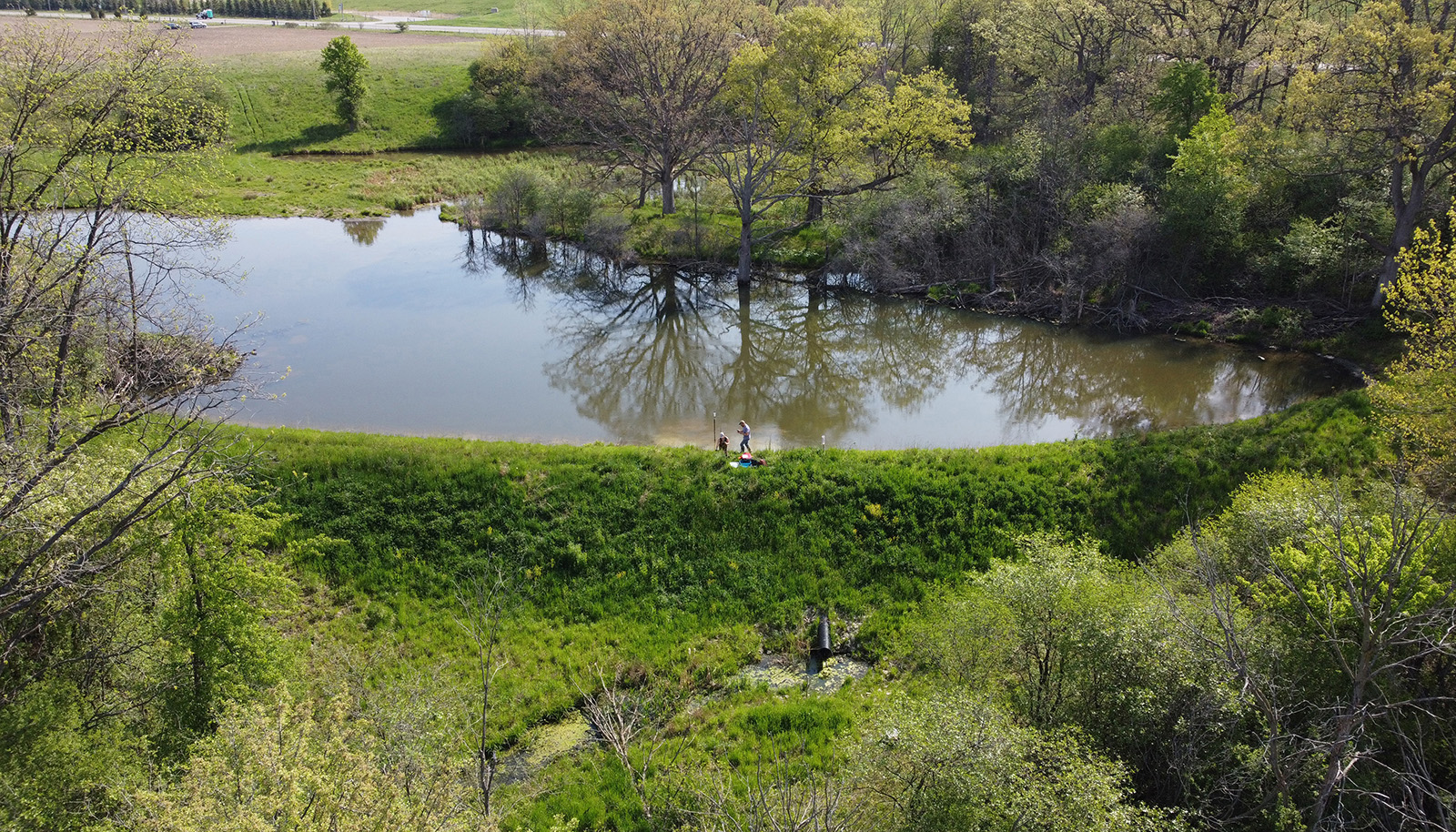 Ontario Research - wetland