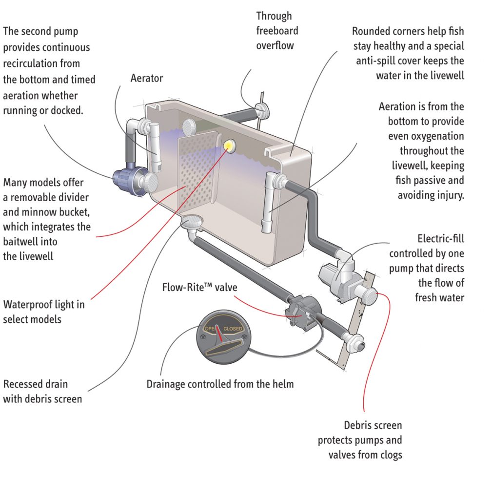 How to Build Your Own Livewell – Power Boating Magazine