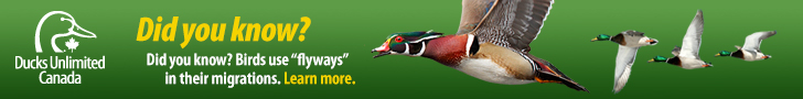 Ducks Unlmited Banner Top
